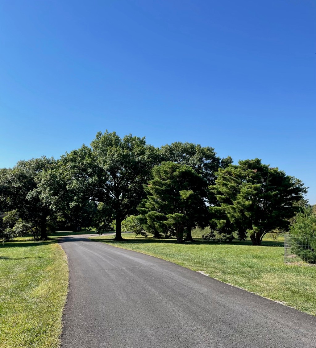 Lawyer in Motion: Day One of My&nbsp;Comeback