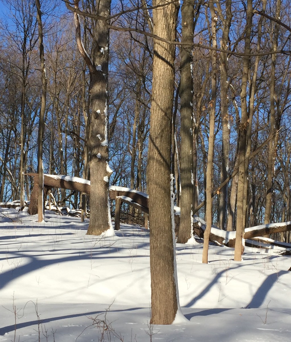 New Year, New&nbsp;Goal