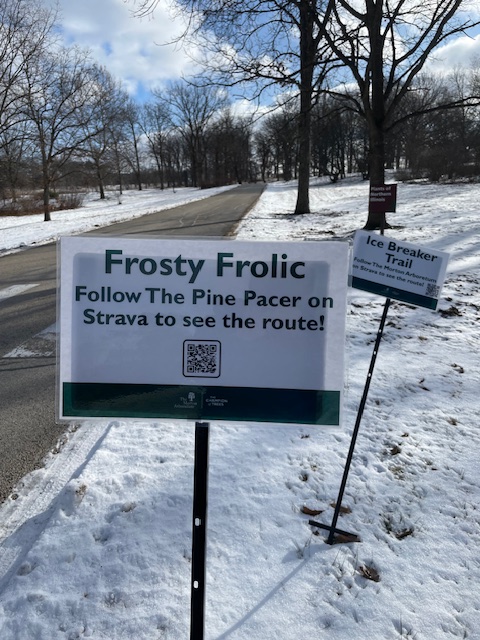 Winter Miles at the Morton Arboretum: My Pine Pacer&nbsp;Challenge